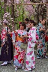 15-Young girls in geisha dress at Kiyomizu-dera